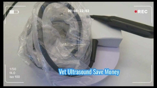 Pemeriksaan USG Dokter Hewan Mindray 75L50EAV